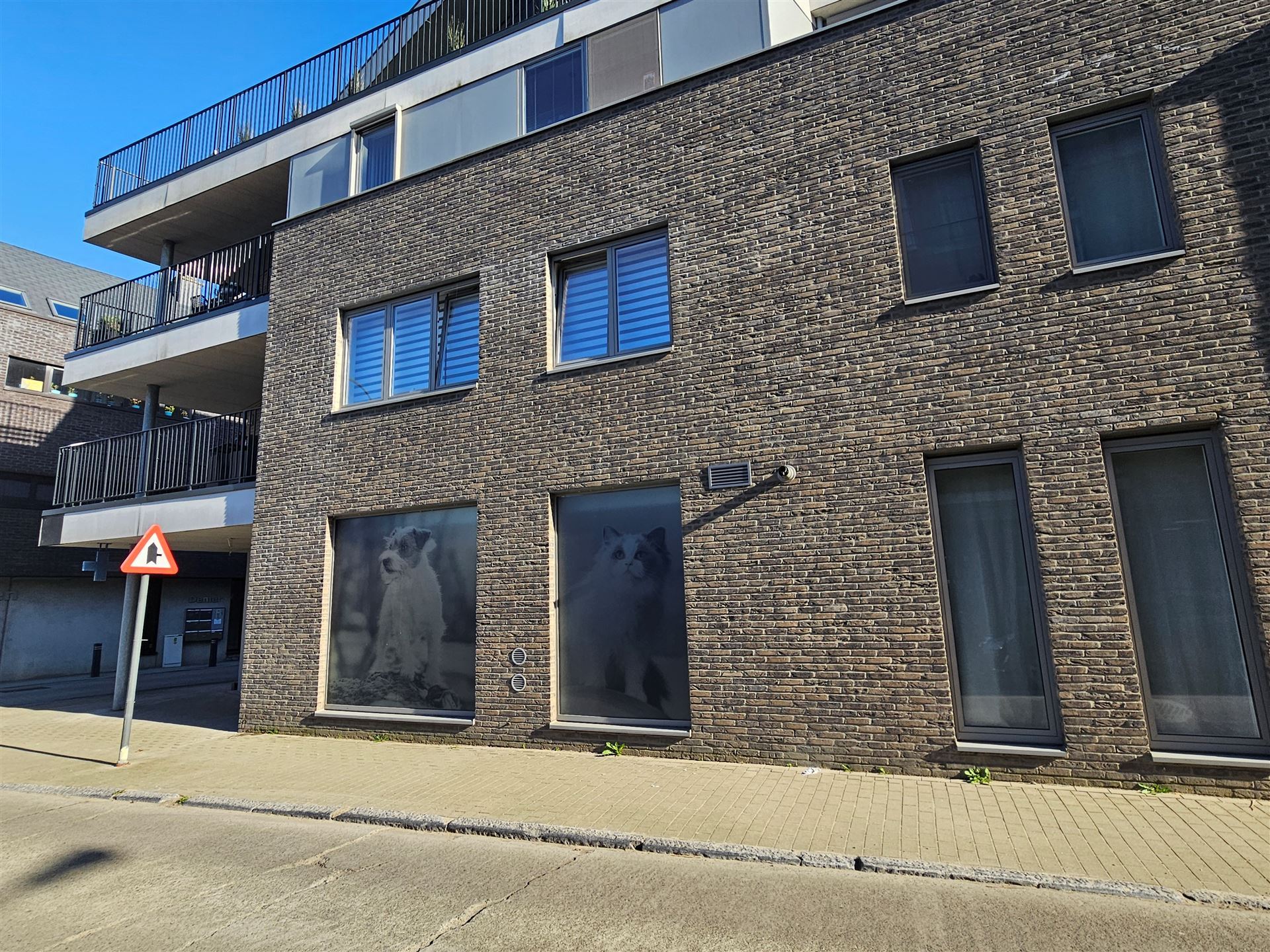 handelspand - foto 2