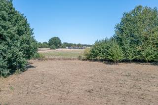 <p>Exclusieve villabouwgrond van 12a 72ca met groenzicht, Dilbeek</p><p>Op één van de hoogste punten in de omgeving, op de hoek van de Brusselstraat en de Draaiberg/Kortemansstraat, biedt dit perceel een prachtig uitzicht op een groene, agrarische zone. <br />Een discrete ligging die tegelijk vlot bereikbaar is via de E40 en R0, met winkelmogelijkheden in de nabijheid.</p><p>Het perceel is bebouwbaar binnen een zone van 17m breed op 18m diepte, met een maximale vloeroppervlakte van 250m², conform de verkavelingsvoorschriften. Ideaal voor het oprichten van een ruime en comfortabele vrijstaande villa.</p><p>In 2024 werd reeds een bouwvergunning afgeleverd voor een vrijstaande gezinswoning met gelijkvloers en eerste verdieping onder een platte dakstructuur. De renderbeelden zijn beschikbaar ter informatie.</p><p>De volledige verkavelingsvoorschriften zijn op te vragen via rune.stallaert@living-stone.be.</p>