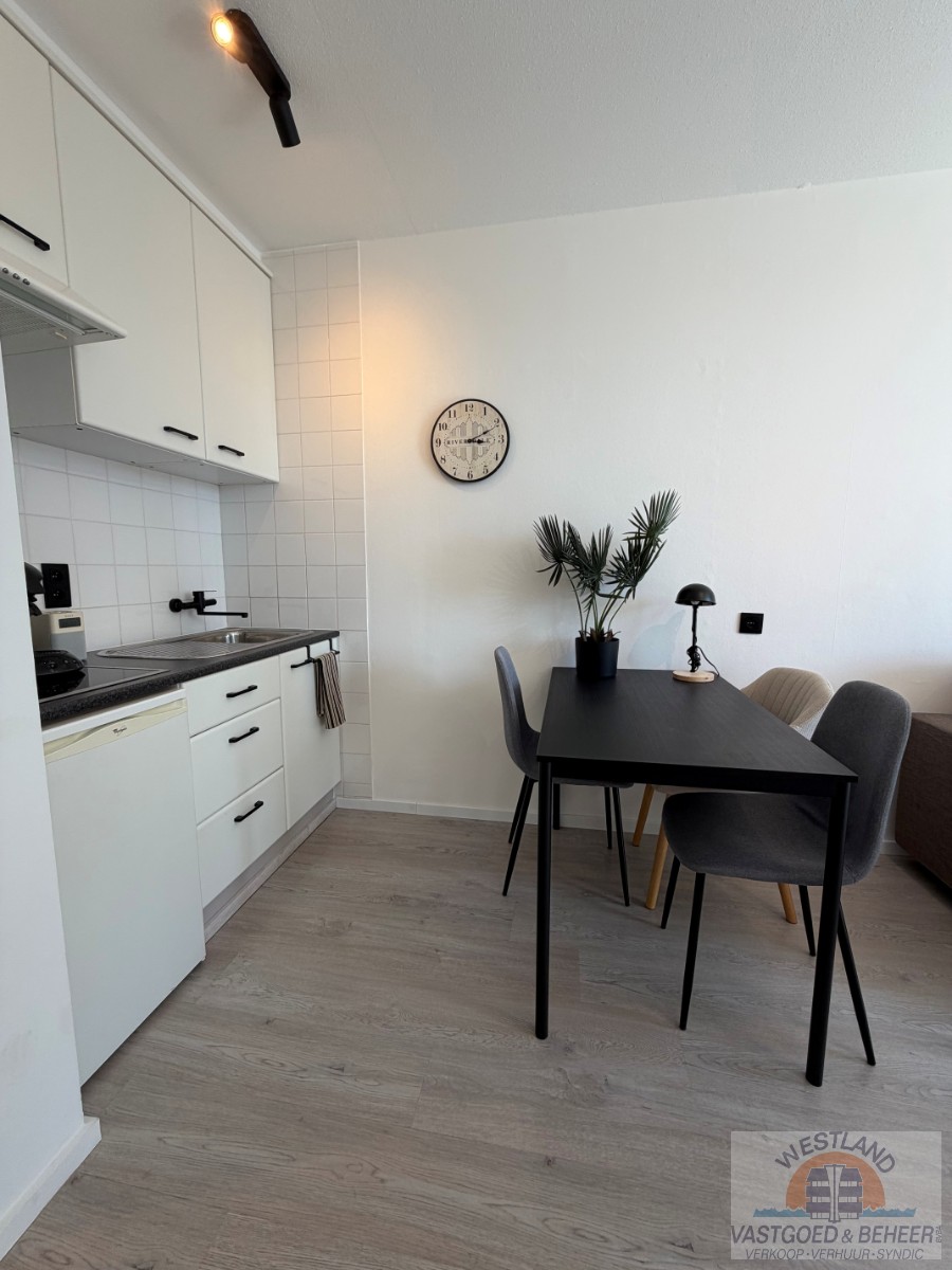 Lichtrijke, modern ingerichte studio op toplocatie - foto 5