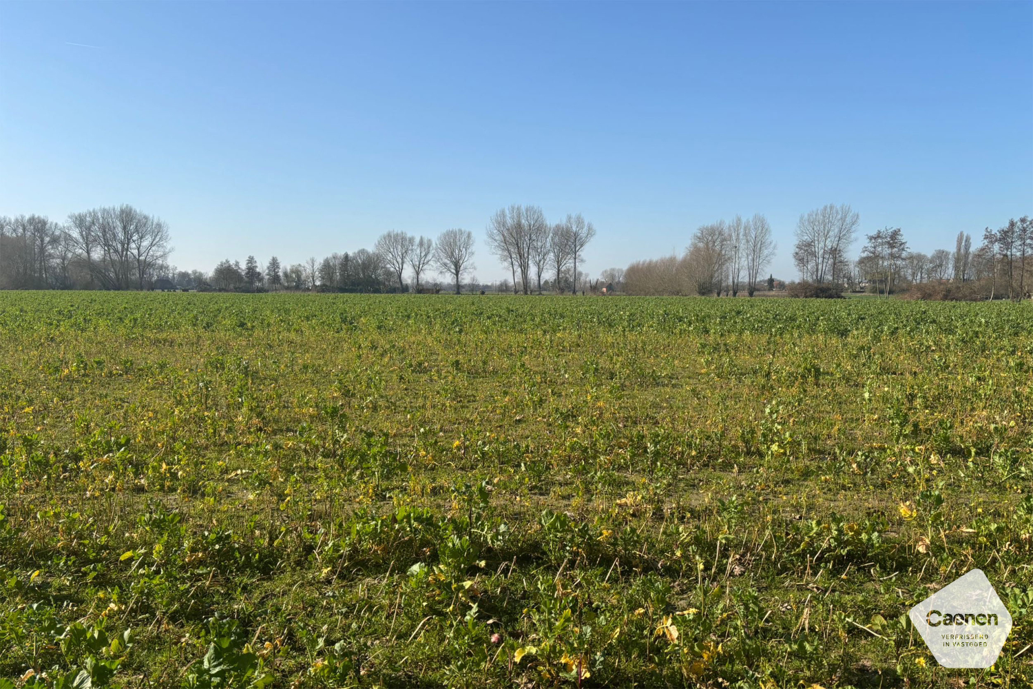 Charmante landelijke woning op een perceel van 1104 m² in een rustige en groene omgeving. - foto 4
