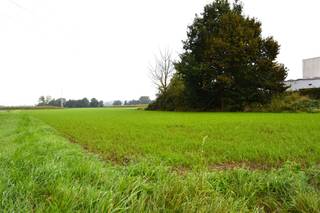 Bouwgrond (1257 m²) voor het bouwen van open bebouwing zonder bouwverplichting.  Vrije keuze van architect en aannemers. ...