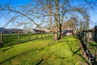 Bent u op zoek naar een geschikte woning met ruime tuin op een rustige en groene ligging? Deze halfopen bebouwing wordt u exclusief te koop aangeboden door Access Estate. <br /><br />BEZOEKDAG ZONDAG 26 JULI - OP AFSPRAAK!<br />Maak nu uw afspraak via sms of WhatsApp door te sturen naar 0475 92 30 35.<br /><br />Deze renovatiewoonst in het charmante en landelijke Steenhuize-Wijnhuize beschikt momenteel over een gezellige woon- en leefruimte, een functionele keuken, een badkamer en drie mooie slaapkamers. Bovendien biedt de zolderverdieping extra mogelijkheden: transformeer deze ruimte tot een extra slaap- of speelkamer en vergroot zo het wooncomfort.<br /><br />Een grote troef van deze eigendom is de ruime perceelsoppervlakte, ideaal voor wie droomt van een mooie tuin met voldoende ruimte voor ontspanning, spelen of tuinieren.<br /><br />Troeven van deze ligging:<br />- Groene en landelijke omgeving – Perfect voor wie wil genieten van rust en natuur.<br />- Ruime perceelsoppervlakte – Tal van mogelijkheden voor tuinliefhebbers en gezinnen.<br />- Vlotte bereikbaarheid – Goede verbinding met belangrijke invalswegen en nabijgelegen steden zoals Zottegem en Geraardsbergen.<br />- Nabijheid van voorzieningen – Winkels, scholen en openbaar vervoer op korte afstand.<br />- Wandelen en fietsen – Talrijke wandel- en fietsroutes in de omgeving voor natuurliefhebbers.<br />- Authentiek en charmant dorp – Levendige dorpssfeer met gezellige buurtgemeenschap.<br /><br />Bent u op zoek naar een woning met potentieel in een idyllische omgeving? Mis deze kans niet! Neem contact op voor meer informatie of een bezichtiging.