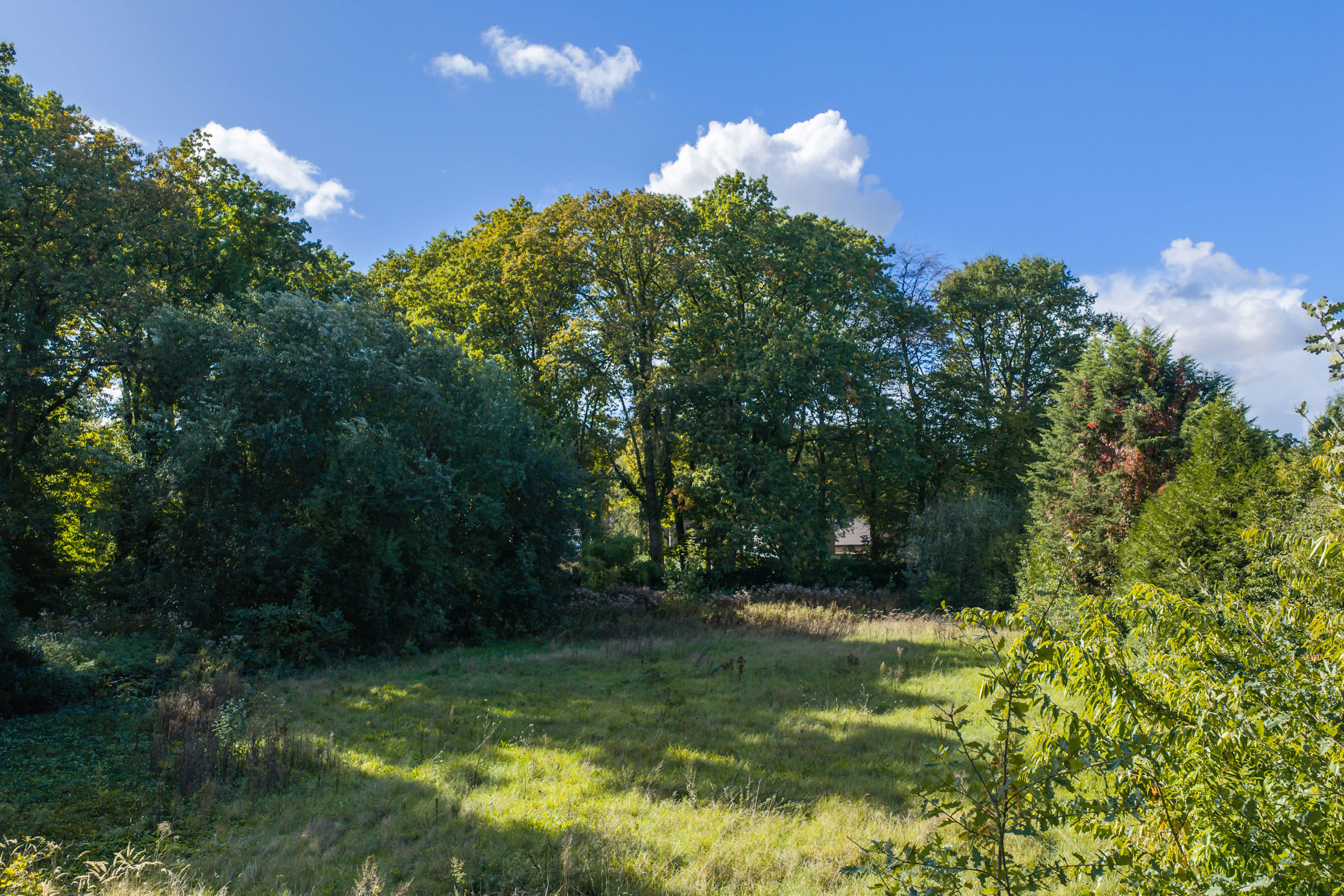 Terrain à vendre à Schilde - photo 4