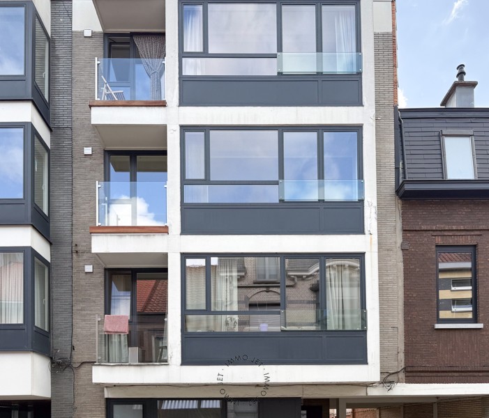 Ruim en lichtrijk appartement met twee terrassen - foto 2