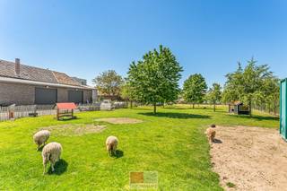 Prachtig authentiek herenhuis met ruime loods en garage in de Voerstreek! Woonopp. 336 m² en perceel 2.426 m². De woning werd grondig gerenoveerd (2014 - 2017) en afgewerkt met hoogwaardige materialen. Zo is de woning voorzien van een riante woonkamer met compleet ingerichte open keuken, 4 slaapkamers en een ruime zolder met mogelijkheid tot 2 extra kamers. De achtertuin heeft een mooi stenen terras en een ruime oprit die leidt naar de garage en loods.<br /><br />De woning wordt omringd door fraaie natuur met een wijd vertakt wandel- en fietsgebied langs landerijen, kastelen en weilanden. Ook grote steden zoals Maastricht, Aken, Luik en Eupen zijn makkelijk bereikbaar.<br /><br />Bezichtig deze woning ook digitaal en 'loop' zelf door de woning. Kijk daarvoor op onze website of via:<br />my.matterport.com/show/?m=8aESBFNxT3V<br /><br />INDELING:<br /><br />Begane grond:<br />- Inkomhal met vestiaire en apart toilet;<br />- Kantoor/slaapkamer met toegang tot de gewelfde kelder;<br />- De riante woonkamer heeft grote raampartijen en staat in verbinding met de keuken en tuin;<br />- De open keuken is compleet ingericht en heeft een prachtig kookeiland v.v. een granieten werkblad; <br />- Berging met spoelbak en aansluitingen voor wasmachine en droogkast;<br /><br />1e verdieping:<br />- Ruime overloop met toegang tot de badkamer en 3 slaapkamers (21 m², 26 m² en 27 m²);<br />- De badkamer is uitgerust met een comfortabel ligbad, inloopdouche, dubbele wastafel en vloerverwarming;<br />- Apart toilet;<br />- De trap is op maat gemaakt met eiken hout en smeedijzer; <br /><br />Zolder:<br />- De ruime zolder biedt u de mogelijkheid om nog 2 extra kamers te realiseren;<br />- Er is eveneens een mogelijkheid om een extra badkamer te realiseren, het leidingwerk is tot op de verdieping voorzien (evt. met toilet).<br /><br />Kelder:<br />- Prachtig gewelfde kelder;<br />- volledig opnieuw uitgegraven;<br />- Voorzien van een eiken vloer;<br />- Ideaal te gebruiken als wijnkelder;<br /><br />Tuin:<br />- Ruime tuin, volledig omheind en v.v. een verhoogd terras en uitgestrekt gazon;<br />- Garage met sectionaal poort en plaats voor 1 auto;<br />- Loods (circa 115 m²) met sectionaalpoort en v.v. gas, water en elektriciteit;<br /><br />Techniek: <br />- Volledig geïsoleerd (dak-, muur- en vloerisolatie en HR++ isolerende beglazing);<br />- De gehele begane grond + badkamer zijn v.v. vloerverwarming;<br />- De woning is voorzien van een warmtepomp van Stiebel Elton (mei 2026) en 30 zonnepanelen, waardoor een hernieuwd energielabel een upgrade zal hebben. <br /><br />Keukenapparatuur:<br />- Inductieplaat (Neff), <br />- Uitschuifbare afzuigkap (Neff), <br />- 2 combi-ovens (Neff), <br />- Koelkast<br /><br />Energieprestatie en binnenklimaat (EPB-EPC)<br />Certificaat beschikbaar: ja<br />EPC certificaatnummer: 20240801-0003328590-RES-1<br />Berekende energiescore: (kWh/m²): 167, label B<br />Het certificaat is geldig tot en met: 01/08/2034<br />Elektrische installatie: wordt conform opgeleverd <br /><br />Informatie stedenbouwkundige voorschriften:<br />STEDENBOUWKUNDIGE VERGUNNING: ja<br />MEEST RECENTE BESTEMMING: woonuitbreidingsgebieden<br />DAGVAARDINGEN UITGEBRACHT: nee<br />VOORKOOPRECHT OP DIT GOED: ja<br />VERKAVELINGSVERGUNNING: nee<br />WATERGEVOELIG OPENRUIMTEGEBIED: nee<br /><br />Overstromingsgevoelige gebieden:<br />Perceelscore of P-score: D<br />Gebouwenscore of G-score: D<br />Ligging in Signaalgebied: nee<br />Ligging in afgebakende oeverzone of afgebakend overstromingsgebied: nee<br /><br />A: geen overstroming gemodelleerd B: kleine kans op overstromingen onder klimaatverandering C: kleine kans op overstromingen D: middelgrote kans op overstromingen<br /><br />Beschermd erfgoed<br />Vastgesteld bouwkundig erfgoed: Burgerhuis<br />Vastgesteld landschapsatlasrelict: 's Graven-, Sint-Martens- en Sint-Pietersvoeren