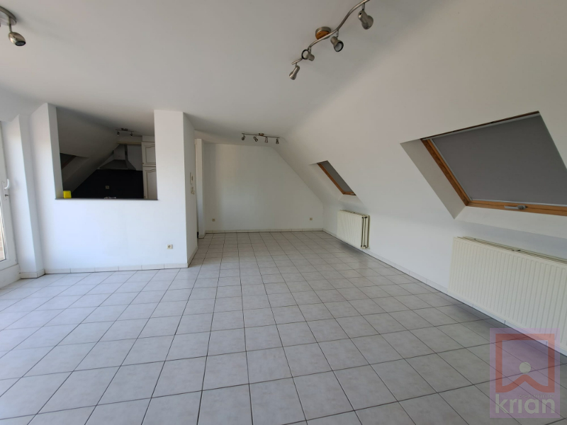 2 slpk dakappartement met mooi terras en garage - foto 5