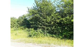 Perceel weiland te huur met een oppervlakte van ongeveer 4.010 m2 en gelegen te Kessel in de Vogelzangstraat  links naast huisnummer 56...