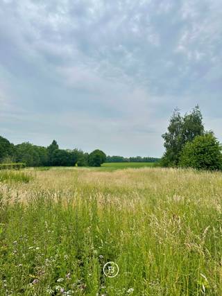 Exclusief gelegen bouwgrond te Grimbergen, een uitzonderlijke kans op een perceel van 1.058 m² voor het realiseren van een open bebouwing...