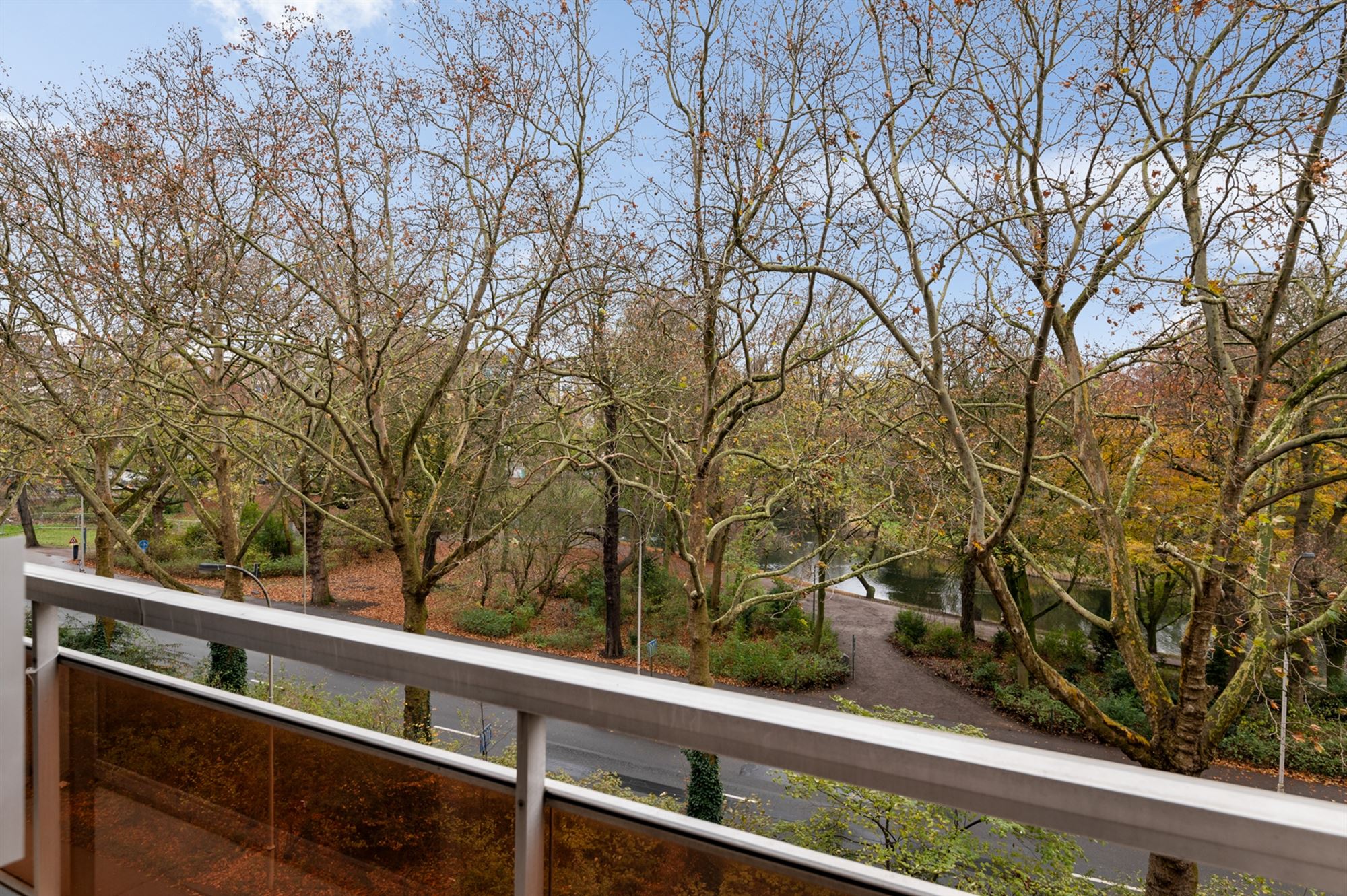 Ruim 3-slpk appartement met prachtig uitzicht op het Stadspark - foto 5