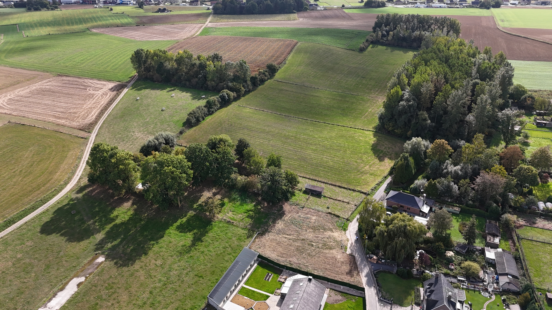 Terrain à vendre à Ninove - photo 5