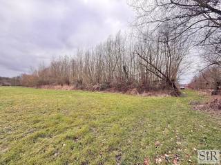 Terrain à vendre à Zemst