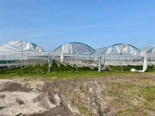 <span>Tuinbouwbedrijf op 2ha 95a volledig uitgerust voor een moderne aardbeienenteelt. Gelegen in Hoogstraten langs de Loenhoutseweg op slechts 650m van Coöperatie Hoogstraten en vlakbij E19 Antwerpen-Breda. <br /><br />Het bedrijf bestaat uit 2 kassen in glas (8.000m²), foliekappen (12.000m²), corridor (500m²) met inpakruimte, personeelsvoorzieningen, technische ruimte, foliebassin, etc.<strong><br /></strong></span><br /><span>Beschikbaar in overleg.</span>