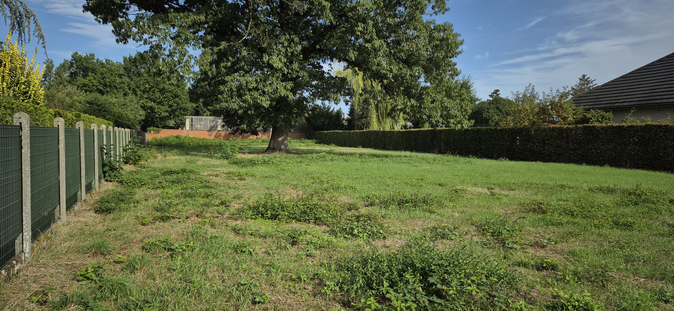 Land for sale in Arendonk - photo 4