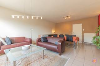 Vandaag nemen we je mee naar de rustige gemeente Bornem. De gemeente staat bekend voor zijn wondermooie fietsroutes doorheen de natuur en...