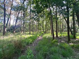 Bent u op zoek naar een bouwgrond waar u uw woondroom kan realiseren? Ontdek deze unieke bouwgrond gelegen in een oase van rust, omgeven door groen. Dit royaal perceel geniet tevens volledige privacy en is gelegen in een <br /><br />Dit bosrijk perceel van maar liefst 5.150m² bevindt zich in de Zeurt in Schoten, een gunstige locatie want u bevindt zich op wandelafstand van het Peerdsbos, het park van Brasschaat en de sportoase. Deze mooie bouwgrond met straatbreedte van 40m biedt de mogelijkheid om een vrijstaande woning te realiseren in harmonie met de natuur. <br /><br />Bouwvoorschriften:<br />- Bebouwbare oppervlakte: max 250m² (incl. afzonderlijke gebouwen)<br />- Bouwdiepte: min 8m, max 17m<br />- Bouwbreedte maximaal 2/3 van de perceelbreedte (i.e. 26,6m)<br />- Bouwhoogte: hoofdgebouw max 7m, bijgebouwen max 3m<br />- Dakvorm: plat of schuin dak (max helling van 60°)<br />- Zwembad toegelaten<br /><br />Troeven van dit perceel:<br />+ Gunstige ligging in woonparkgebied de Zeurt<br />+ Zwembad toegelaten<br />+ Wadi's aanwezig<br />+ Groot perceel van 5.150 m²<br />+ Boscompensatie reeds betaald<br />+ Uiterste rust en privacy gegarandeerd<br />+ Ideaal voor het realiseren van een vrijstaande woning en luxueuze villa in harmonie met de natuur<br /><br />Heeft u interesse om hier uw droomwoning te bouwen? Neem contact op voor meer info of een afspraak via 03 337 50 70 of info@vbvastgoed.be. 