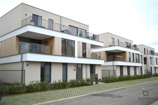 <p><span>In een recente, energiezuinige nieuwbouwresidentie bevindt zich dit stijlvolle gelijkvloerse appartement met 1 slaapkamer. De woning is volledig afgewerkt met een tegelvloer en wordt bij oplevering </span><span>volledig wit geschilderd</span><span>. </span></p><p><span>Verlichting</span><span> is reeds voorzien, zodat u enkel nog hoeft in te richten.</span></p><p><span>De </span><span>lichtrijke woonkamer (30 m²) met open keuken</span><span> vormt het hart van het appartement en biedt rechtstreeks toegang tot een </span><span>aangenaam terrasje aan de voorzijde</span><span>. </span></p><p><span>De keuken is modern en praktisch ingericht.</span></p><p><span>De </span><span>slaapkamer</span><span> (11.5 m²) is ruim genoeg terwijl de </span><span>badkamer</span><span> is uitgerust met een</span><span> inloopdouche</span><span>. Het </span><span>apart toilet met handenwasser</span><span> biedt extra gebruiksgemak. </span></p><p><span>In de </span><span>berging</span><span> is er aansluiting voorzien voor een wasmachine.</span></p><p><span>Het appartement wordt verwarmd via </span><span>vloerverwarming op basis van een warmtepomp</span><span>, in combinatie met 3 </span><span>zonnepanelen</span><span>, wat zorgt voor een bijzonder </span><span>energiezuinige woonst</span><span>. </span></p><p><span>Een</span><span> ventilatiesysteem D</span><span> garandeert een gezonde luchtcirculatie doorheen de hele woning.</span></p><p><span>In het gebouw is er een </span><span>gemeenschappelijk vuilnislokaal</span><span>, een </span><span>fietsenstalling nr 83</span><span>, en op de ondergrondse verdieping (</span><span>niveau -1</span><span>) beschikt u over een </span><span>privatieve autostaanplaats nr 17.</span><span> </span></p><p><span>Tot slot kunt u als bewoner ook genieten van een </span><span>aangelegde gemeenschappelijke tuin</span><span>.</span></p><p><span>Kortom, dit instapklare appartement combineert comfort, duurzaamheid en een doordachte indeling in een rustige, hedendaagse woonomgeving.</span></p><p><span>Vaste kosten €90 p/mnd + €100 Parking.</span></p><p><span>Beschikbaar vanaf 01/12/2025.</span></p>