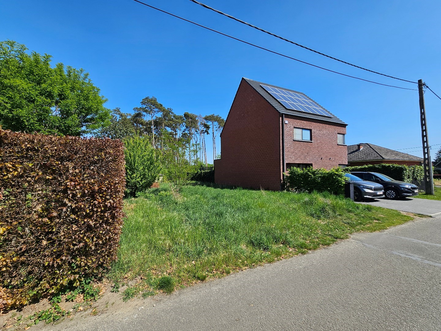 Grond te koop in Haacht - foto 3