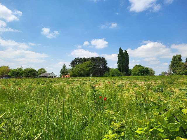 Project te koop in Erwetegem