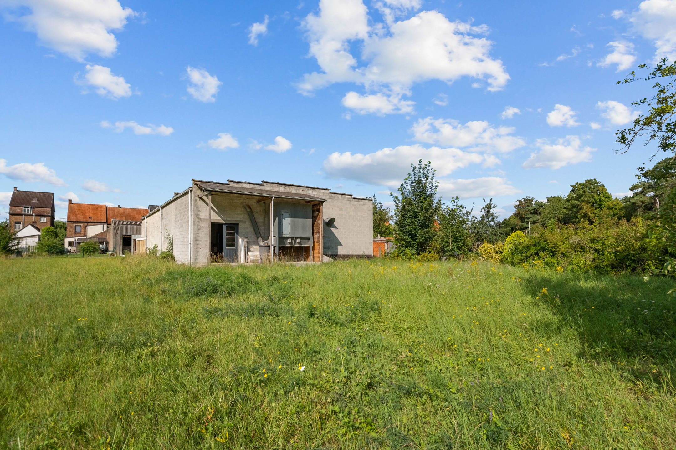 Commercial à vendre à Kluisbergen - photo 2