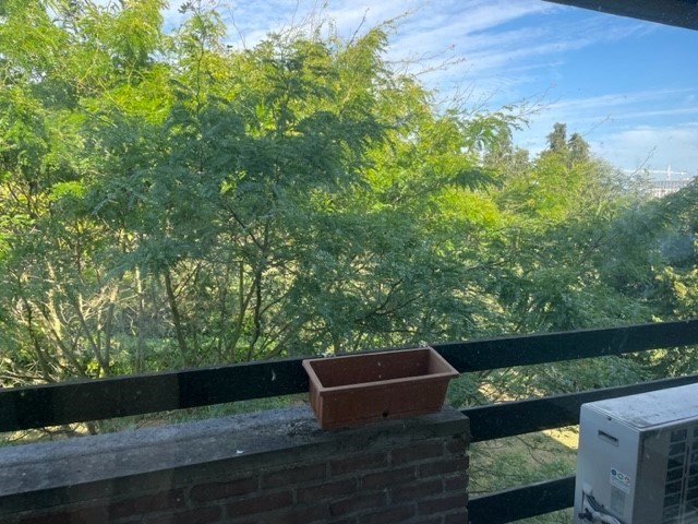 Ruime serviceflat in een groene oase - foto 1