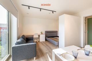 <span><strong>**Geschikt voor studenten** </strong>Welkom in de Director's Residence, gelegen nabij het historisch centrum en op een zucht van het station van Leuven. Onze moderne en bemeubelde (nieuwbouw) studio's en één-slaapkamer appartementen bieden u al het nodige comfort en rust, de residentie omvat 13 eenheden die allemaal bereikbaar zijn met de lift. Tevens is er op de begane grond een tuin en terras voorzien, waar tevens de fietsen veilig kunnen worden gestald. De units zijn voorzien van een volledig uitgeruste keuken met combi-oven, vaatwasser, wasmachine en koelkast (inclusief vriesvak) en de badkamer is voorzien met inloopdouche, wastafelmeubel en toilet. Bij de Director's Residence zijn we er trots op dat we onze huurders een comfortabele en zorgeloze woonervaring kunnen bieden. Daarom zijn al onze units volledig gemeubileerd, inclusief een comfortabel bed van 160 cm en op maat gemaakte kleerkasten. Beschikbaar vanaf 15 september 2026, dus aarzel niet om jouw plekje veilig te stellen. De huurprijzen starten vanaf € 1095, vaste kost van €100 voor verwarming. Internet inclusief. Elektriciteit via aparte meters. Een aanrader! EPC-label A. Contacteer ons voor reservaties of plaatsbezoeken. 016 22 82 22 - info@homies.be.</span>