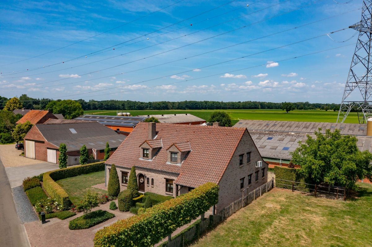 Hoeve met gronden te koop te Kinrooi - foto 1