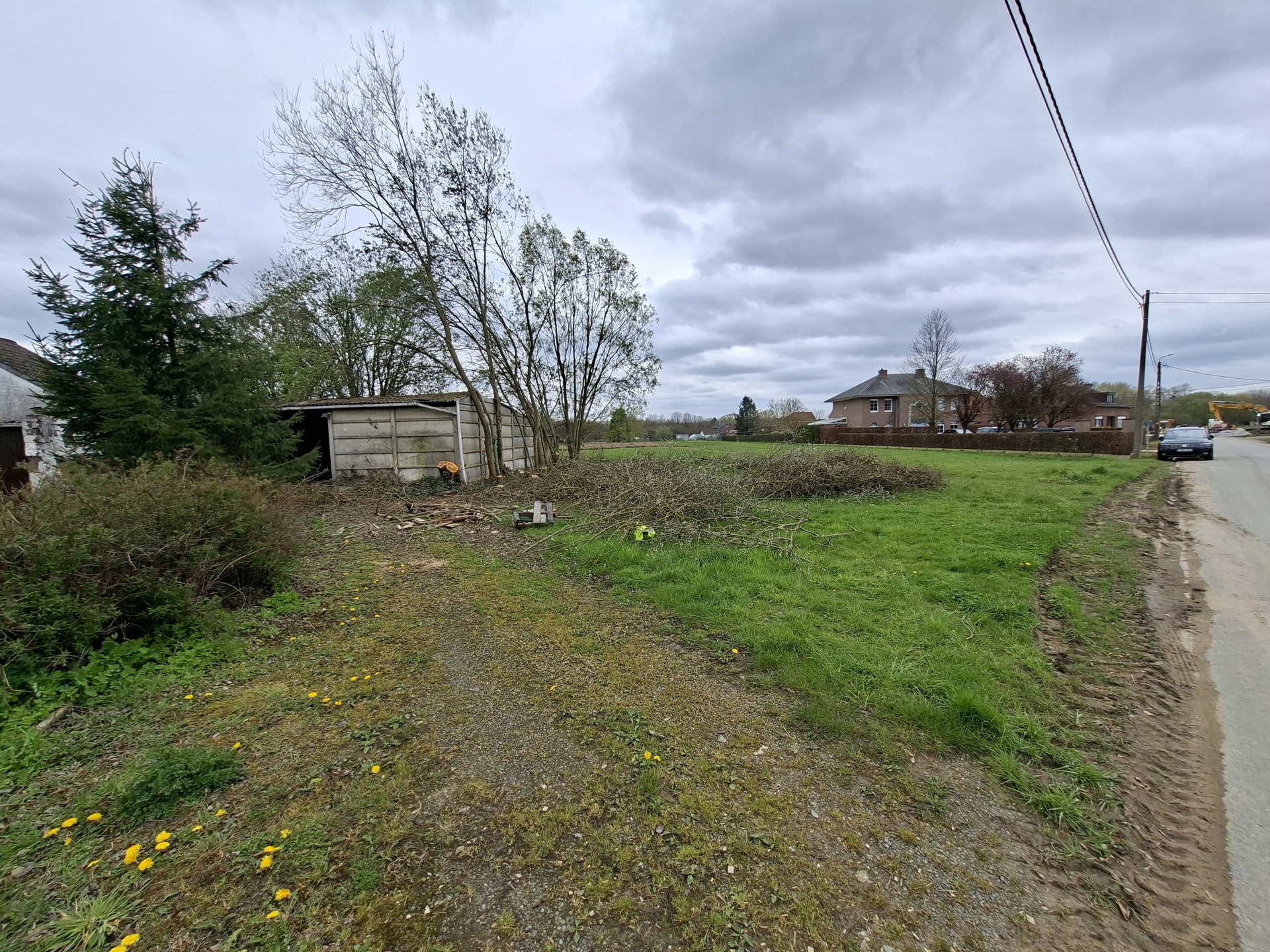 Bouwgrond van 26 are voor open bebouwing te Wezemaal - foto 4