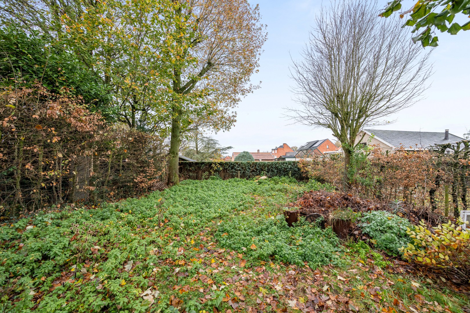 Charmante verder af te werken woning met ruime tuin - foto 4