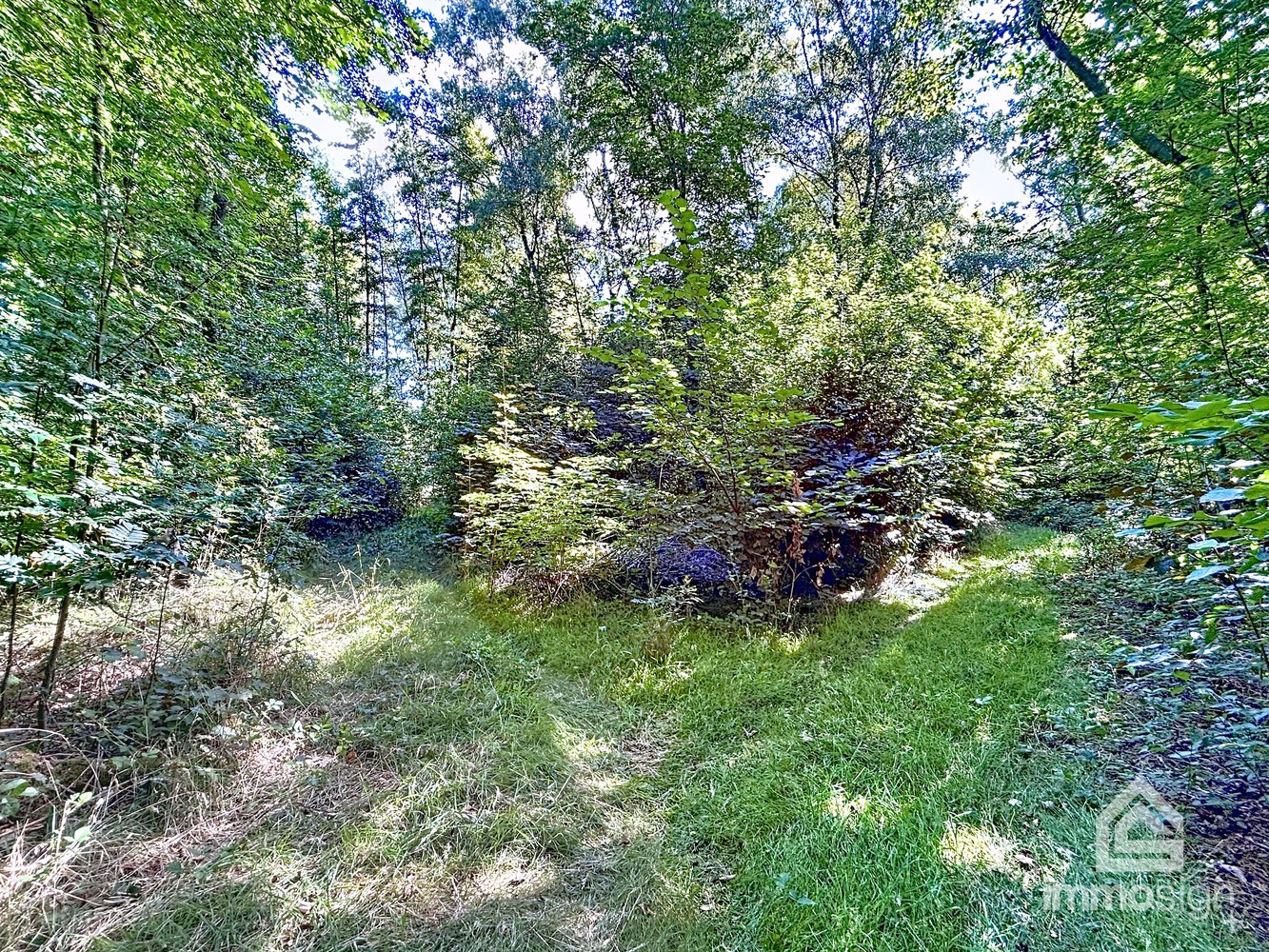 Uniek stuk grond van 9.050 m² in Grote-Brogel/Peer! - foto 5