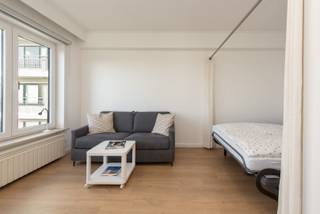 Aangename studio met apart slaapgedeelte. Volledig vernieuwd met halfopen keuken met alle modern comfort. Badkamer met douche, wastafel en toilet. Slaapcomfort voor 4 personen. Privé kelder inbegrepen in de prijs, gemeenschappelijke fietsenberging aanwezig. Op 100m van het strand.