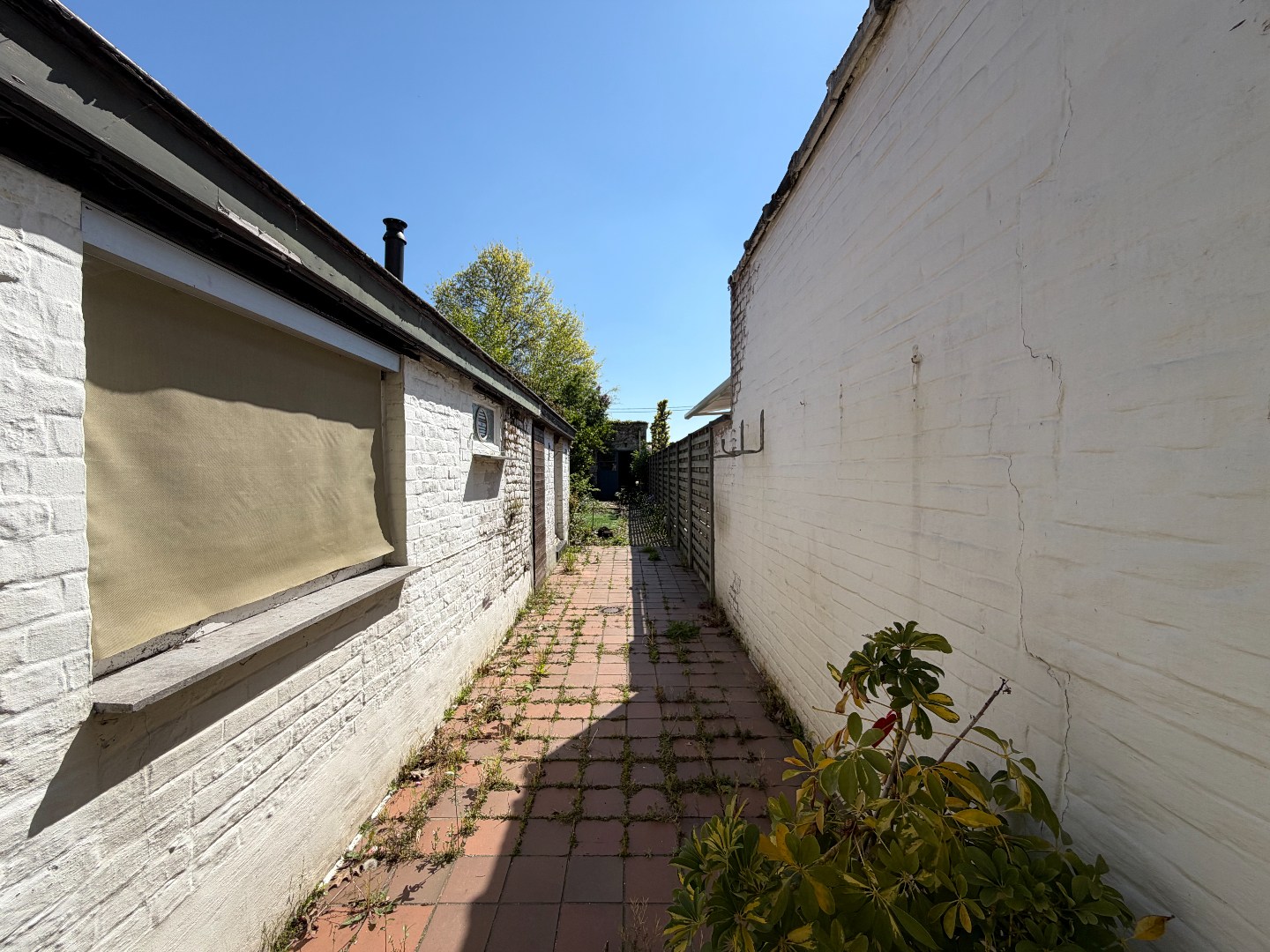 Te renoveren woning met tal van mogelijkheden en ruime opslagplaats (65,5 m²) te koop in Bissegem - foto 5