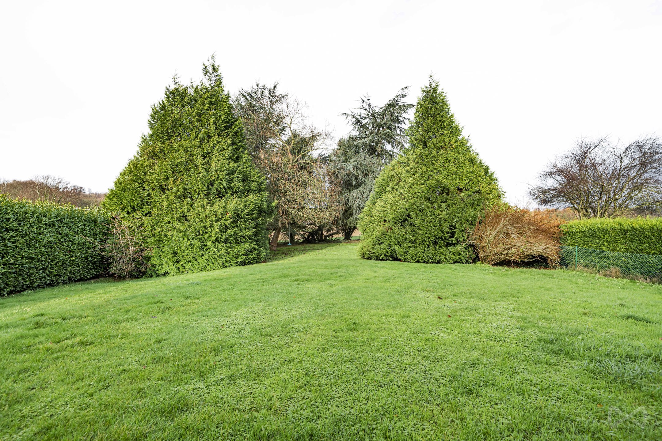 Ruime villa - Tervuren/Duisburg -14a55 +-350m² - 5slk/bureau - foto 2