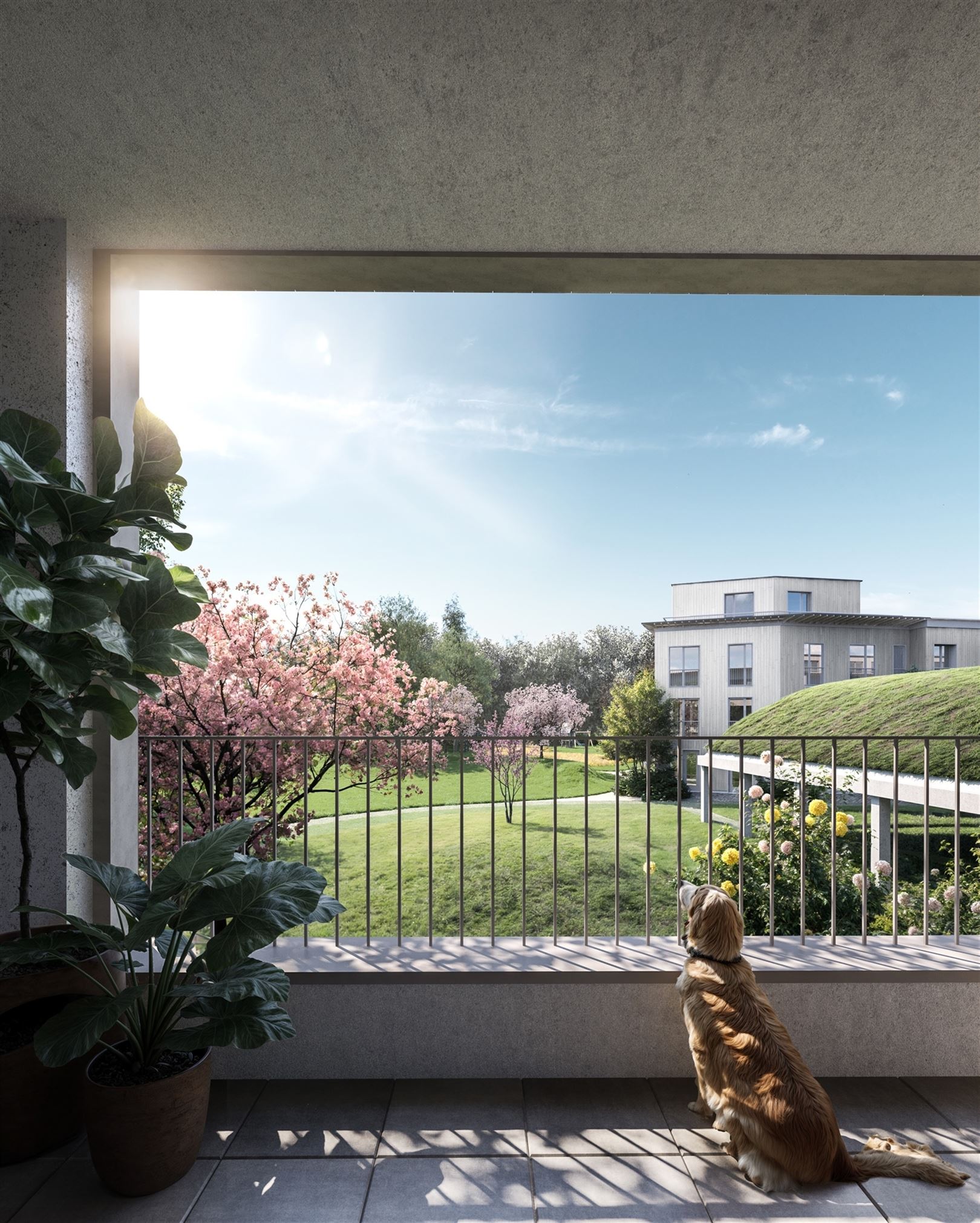 Ecologisch appartement midden in park in Mortsel-Dorp! - foto 5