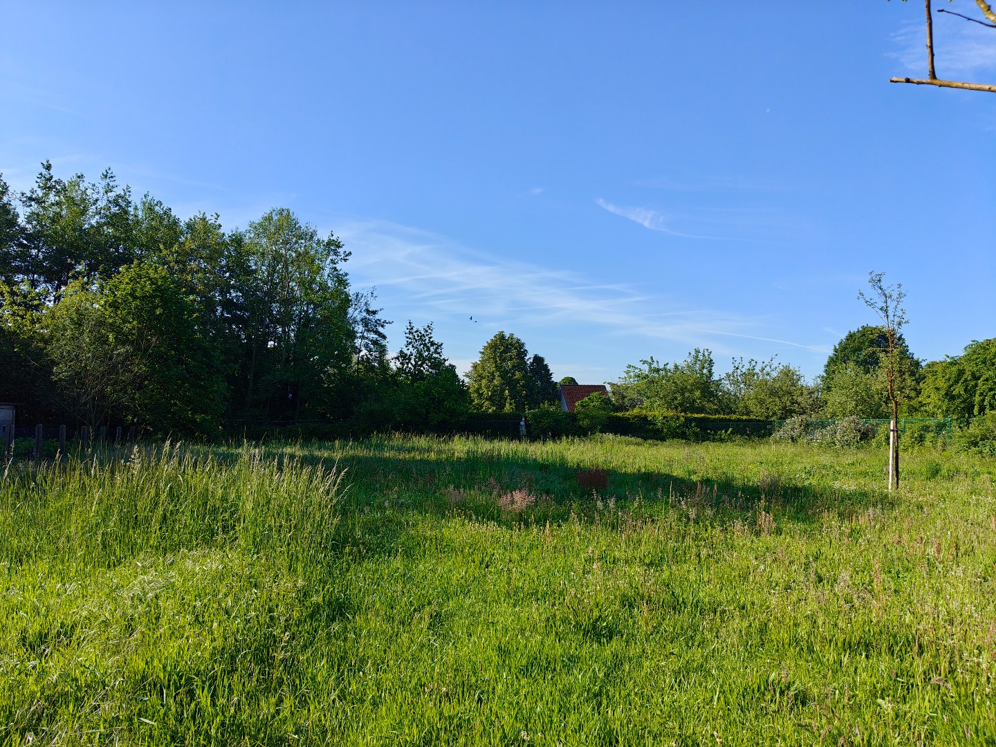 Terrain à vendre à Mol - photo 4