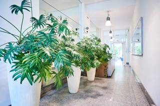 Modern and bright offices for rent on walking distance of the Gare du Midi in Brussels. Airconditioning, high performance gas boilers, ready...