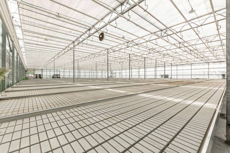 Welgelegen serrecomplex, ideaal voor agrarische activiteiten - foto 12