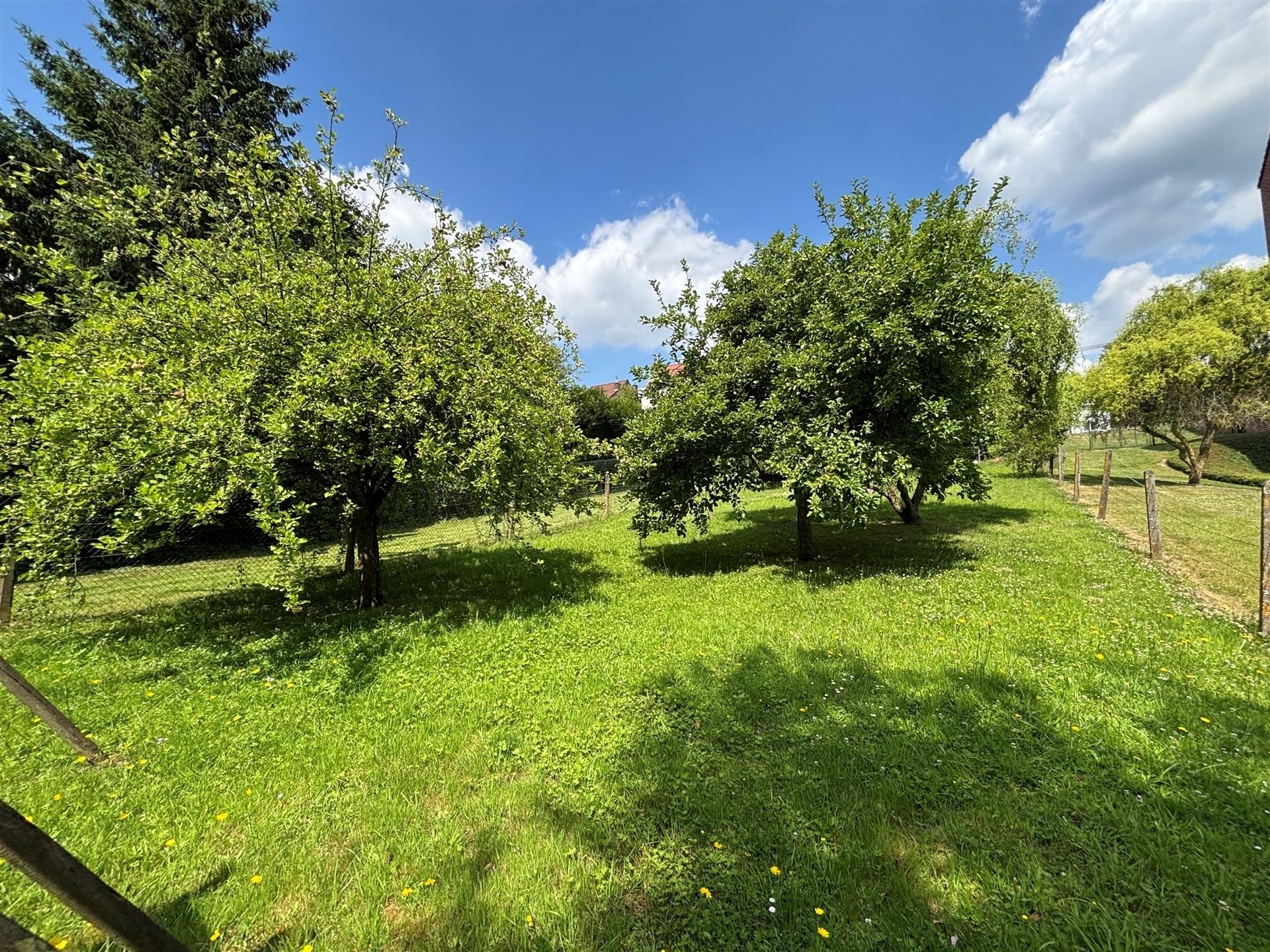 SOUS OPTION Maison 3 chambres avec jardin - photo 4