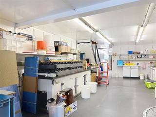 Handelspand, gelegen in het centrum van Boom, met een zeer ruime woonst.Op het gelijkvloers een winkelruimte met een mooie etalage. Achteraan een...