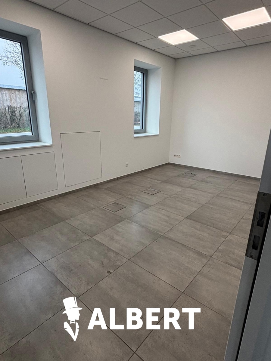 Industriële site met kantoorgebouw en hallen - foto 5