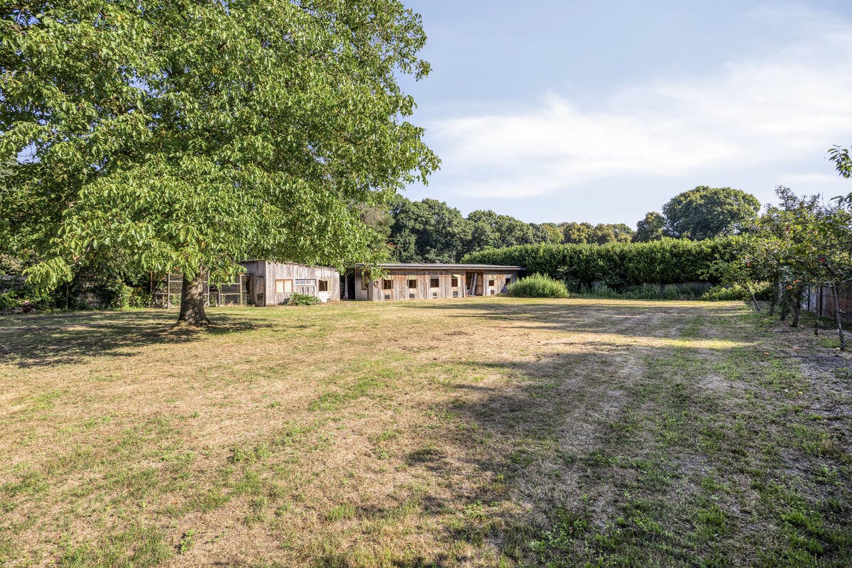 villaperceel van 2445m² met te slopen woning te koop in Geel - foto 5