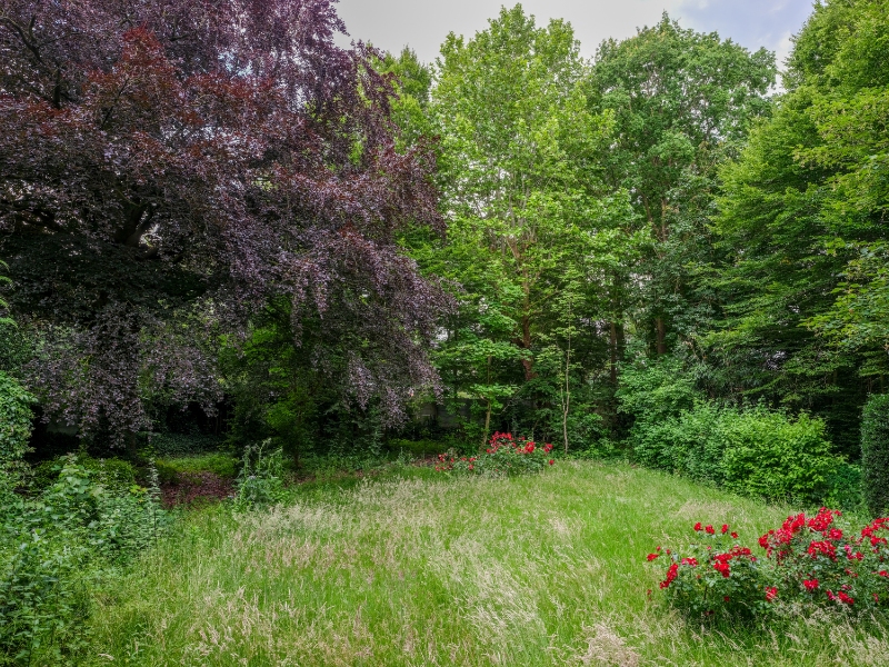 Izegem - Ruime pastorie met diepe tuin op landelijke ligging - foto 4
