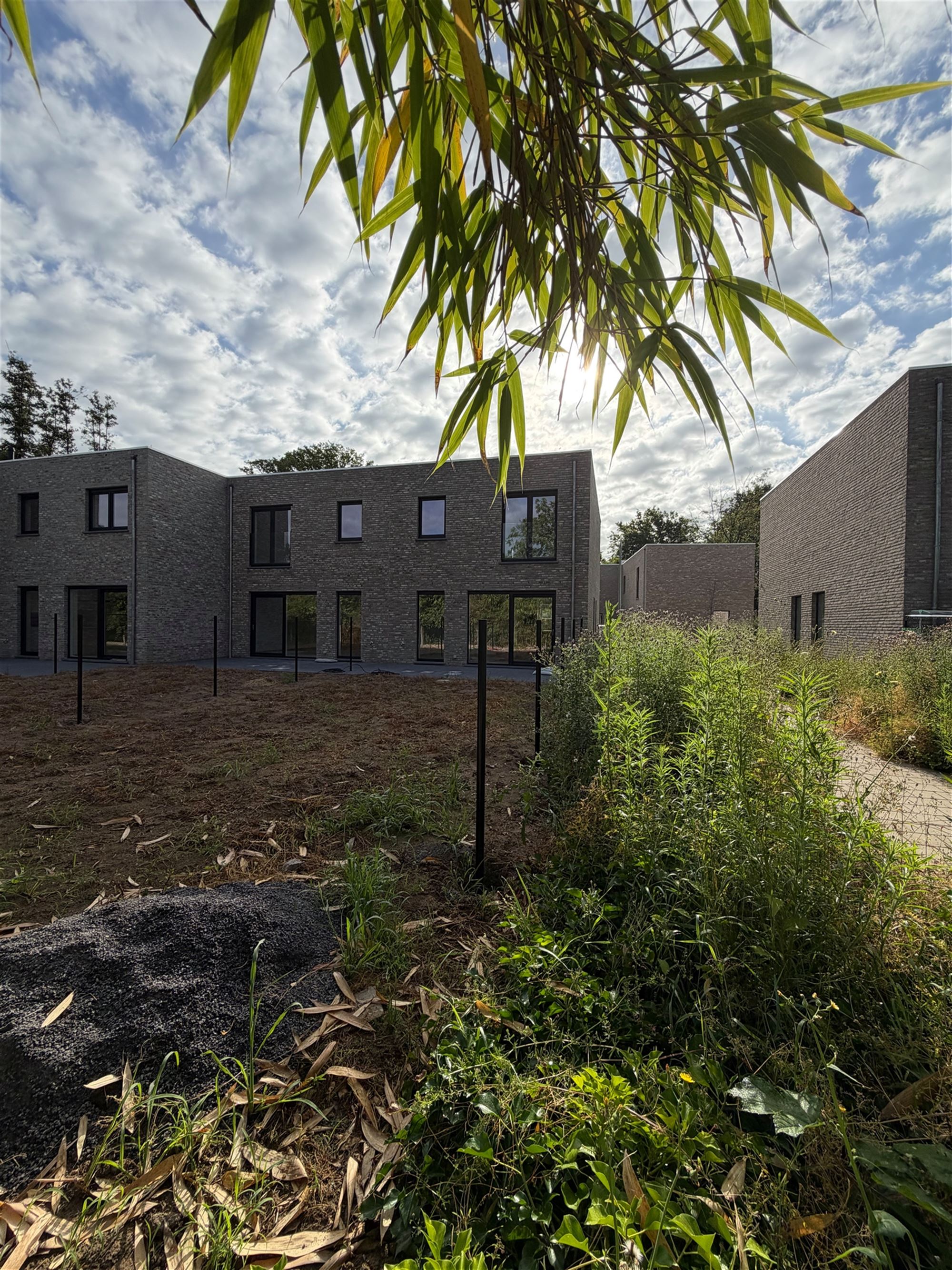 Maison - photo 4