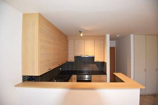 Gelijkvloerse studio (41m²) met open keuken met spoelbak, keramische kookplaat, dampkap, oven, koelkast en vaatwasser, living / slaapruimte...