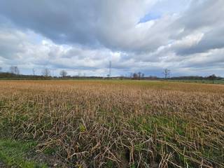 ! IN OPTIE - COMPROMIS IN OPMAAK ! <br />Perceel landbouwgrond met een trapeziumvormige configuratie en een oppervlakte van ± 85a 10ca. Het akkerland is in gebruik maar niet verpacht. Gvg, Ag, Gmo, Vkr, Gvv. P-score: D - gelegen in een risicozone voor overstromingen.<br /><br />WETTELIJKE VERPLICHTE VERMELDINGEN:<br />Vergunningen: nee<br />Bestemming: agrarisch gebied<br />Geen gerechtelijke maatregelen opgelegd.<br />Voorkooprecht: ja (de Vlaamse Waterweg nv)<br />Verkaveling: nee<br />P-score: D - gelegen in een risicozone voor overstromingen<br />Het perceel is gelegen langsheen de Beek, een geklasseerde waterloop van tweede categorie.<br />Eventuele opmetingskosten zijn ten laste van de koper.