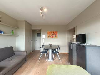 Cet appartement décoré avec goût est situé dans un emplacement de choix, juste derrière la digue de Heist. Grâce à son orientation plein sud,...