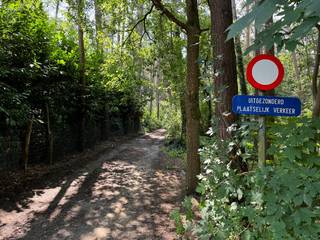 Bosgrond gelegen nabij Malosewaver, bereikbaar via bospad ±100m van de hoofdweg.<br /> 