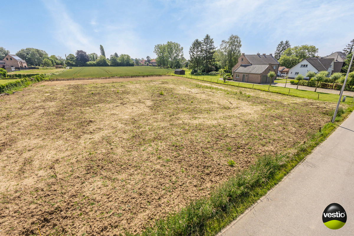 Land for sale in Lanaken - photo 5