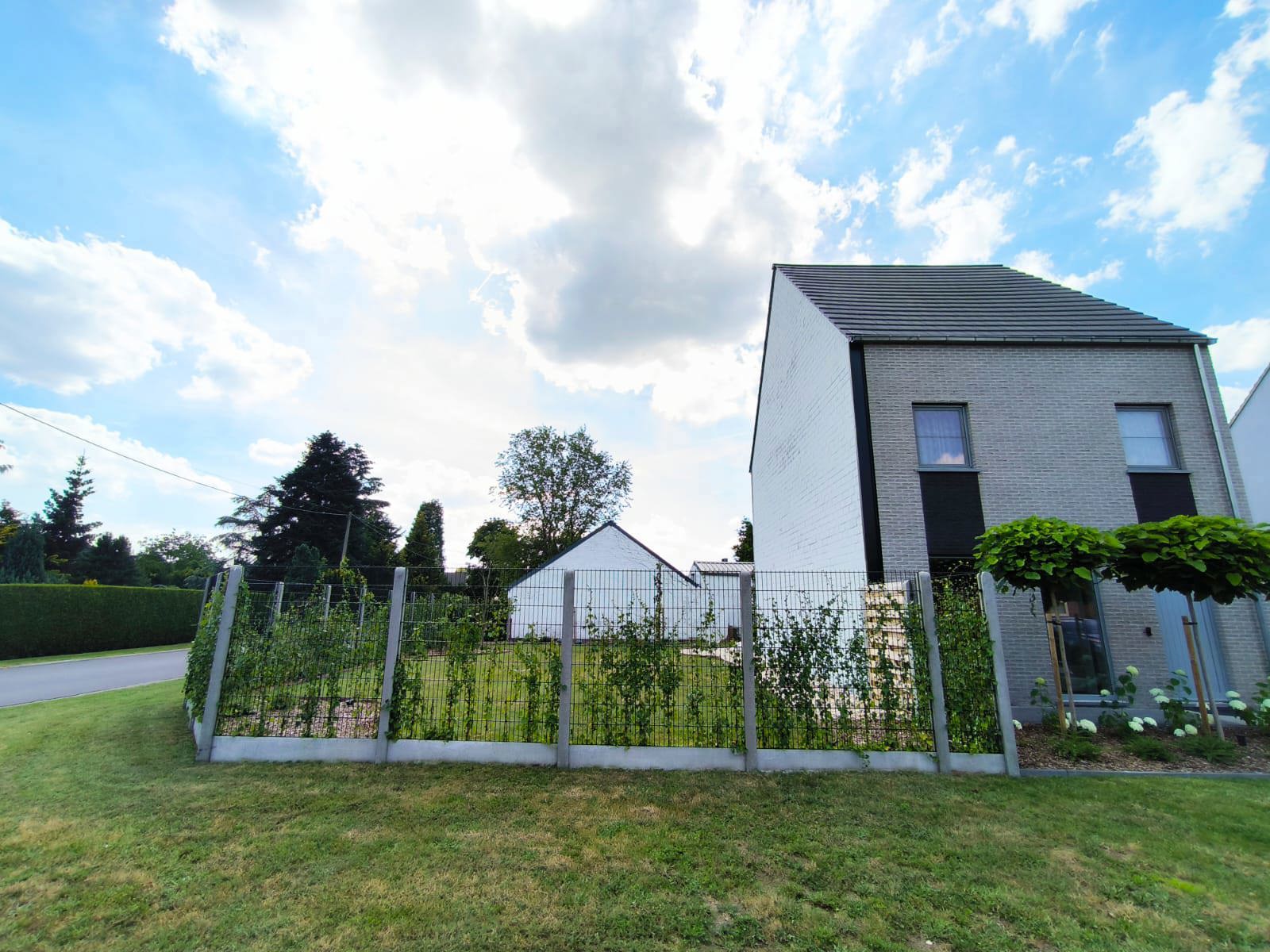Mooi perceel voor HOB op ca. 253 m² inclusief dubbele muur met de buren! - foto 4