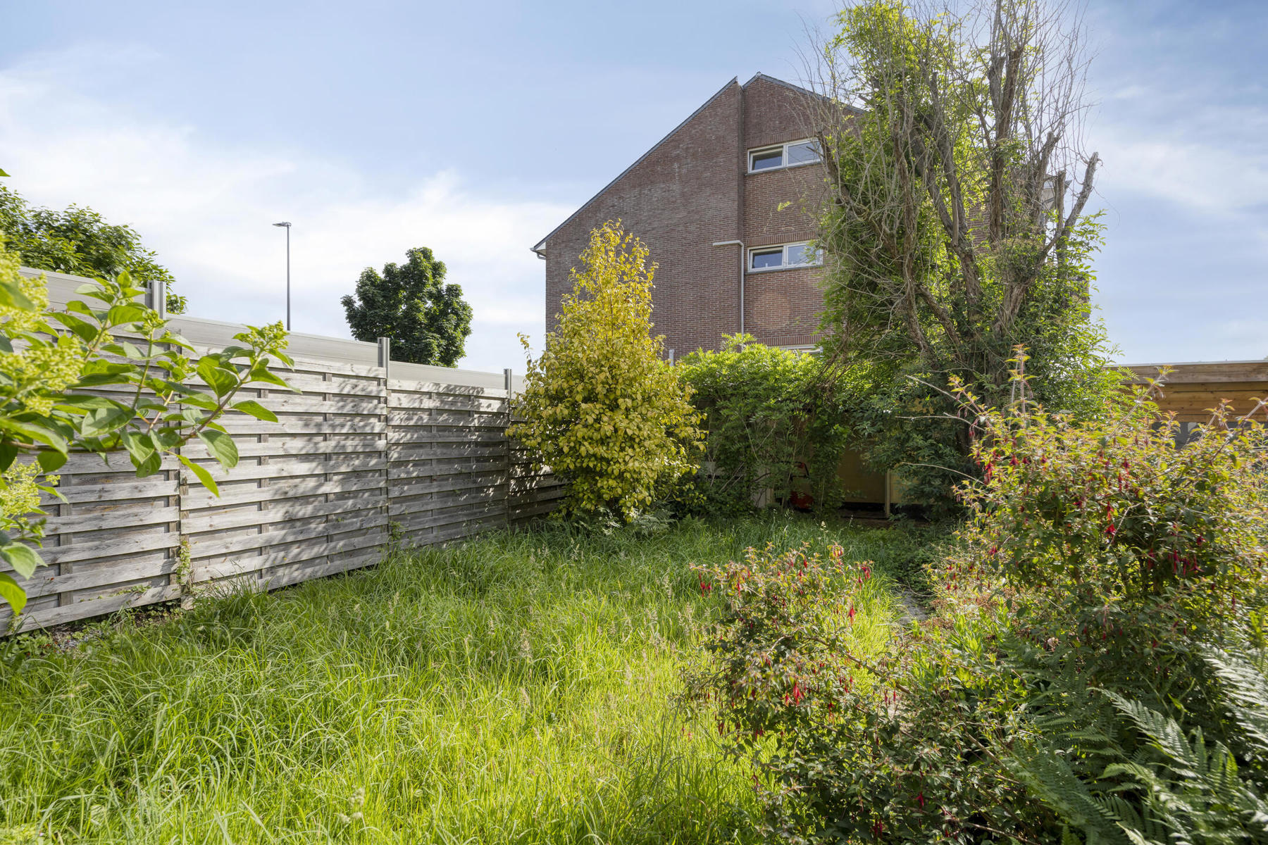 House for sale in Sint-Pieters-Leeuw with 4 bedrooms - photo 4