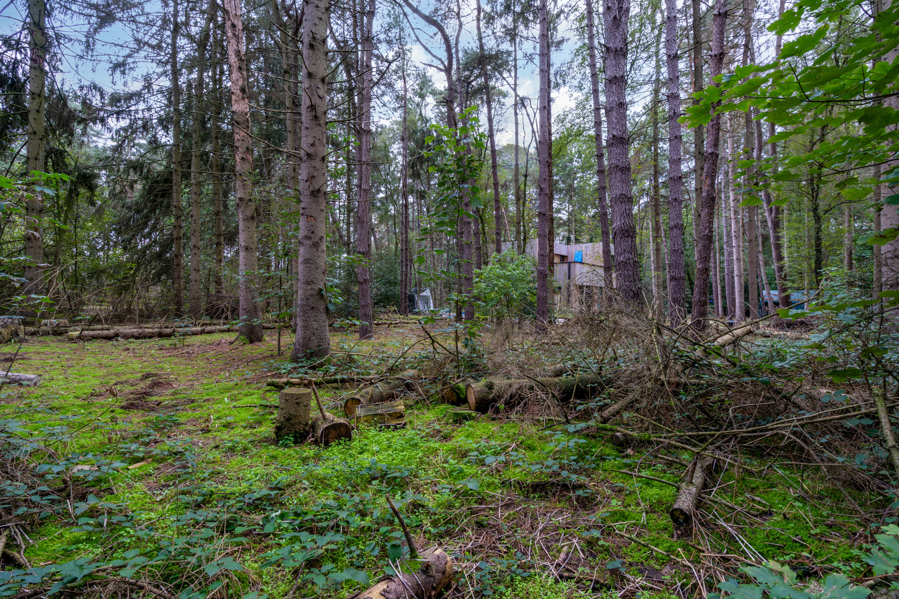 Terrain à vendre à Wuustwezel - photo 5
